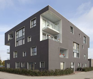 Blaricum, Zwart-wit tweeling